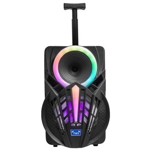 ALTAVOZ DENVER TSP-301 TROLLEY